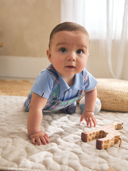 Blue/Green Check Woven Dungaree and Bodysuit Set (0mths-2yrs) image 3