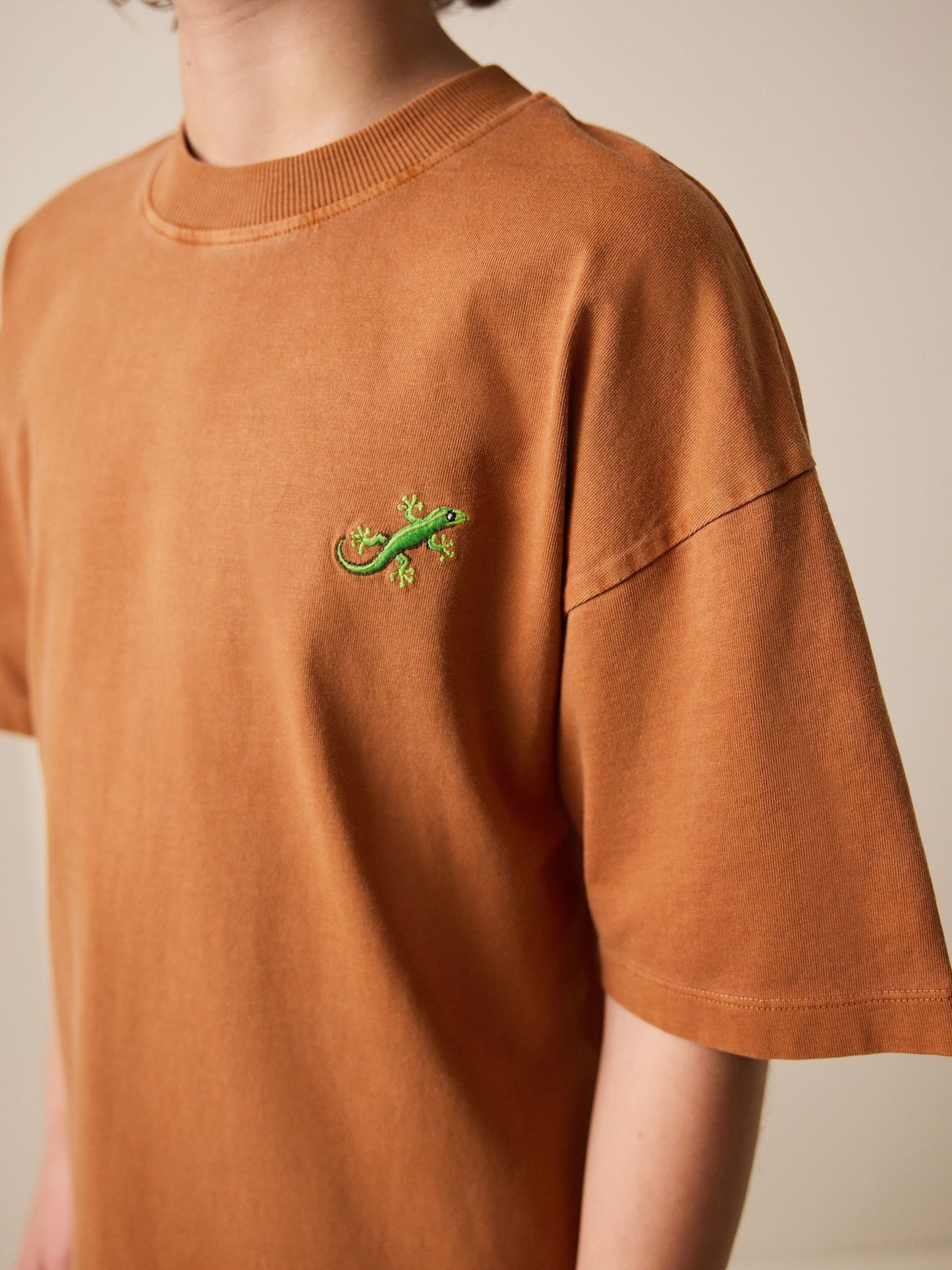 Dsiney Kidz - Rust Brown Washed Chest Embroidery T-Shirt (3-16yrs) image 4