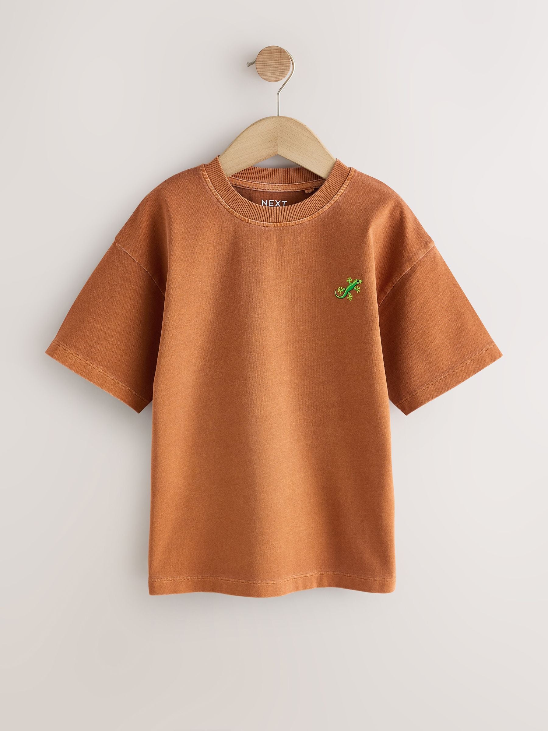 Dsiney Kidz - Rust Brown Washed Chest Embroidery T-Shirt (3-16yrs) image 5