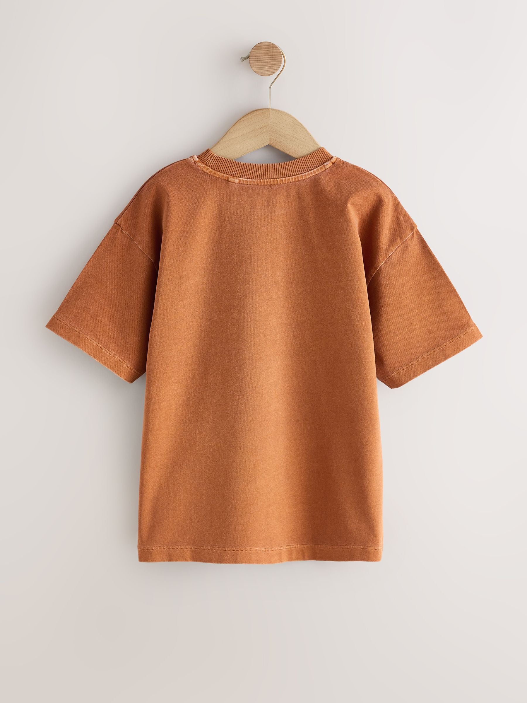 Dsiney Kidz - Rust Brown Washed Chest Embroidery T-Shirt (3-16yrs) image 6