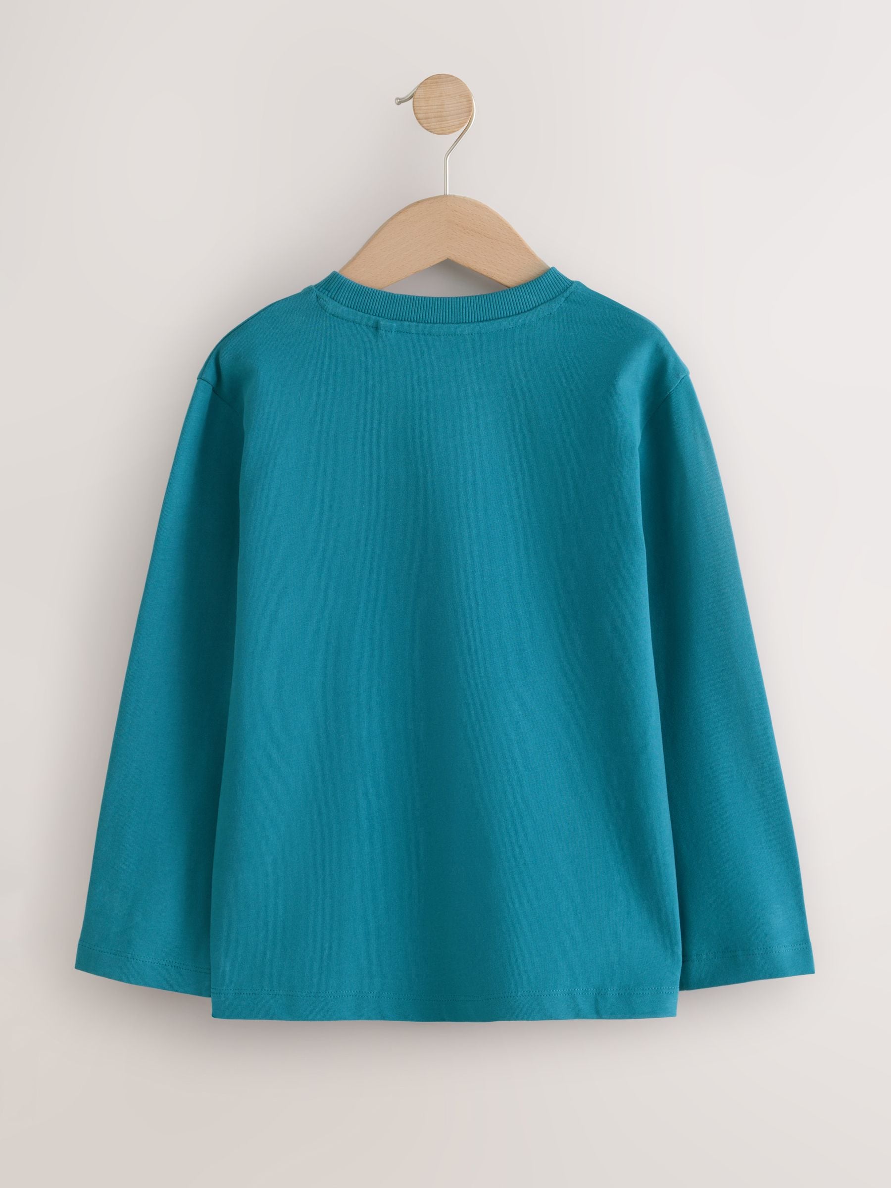 Dsiney Kidz - Teal Blue Cosy Long Sleeve T-Shirt (3-16yrs) image 2