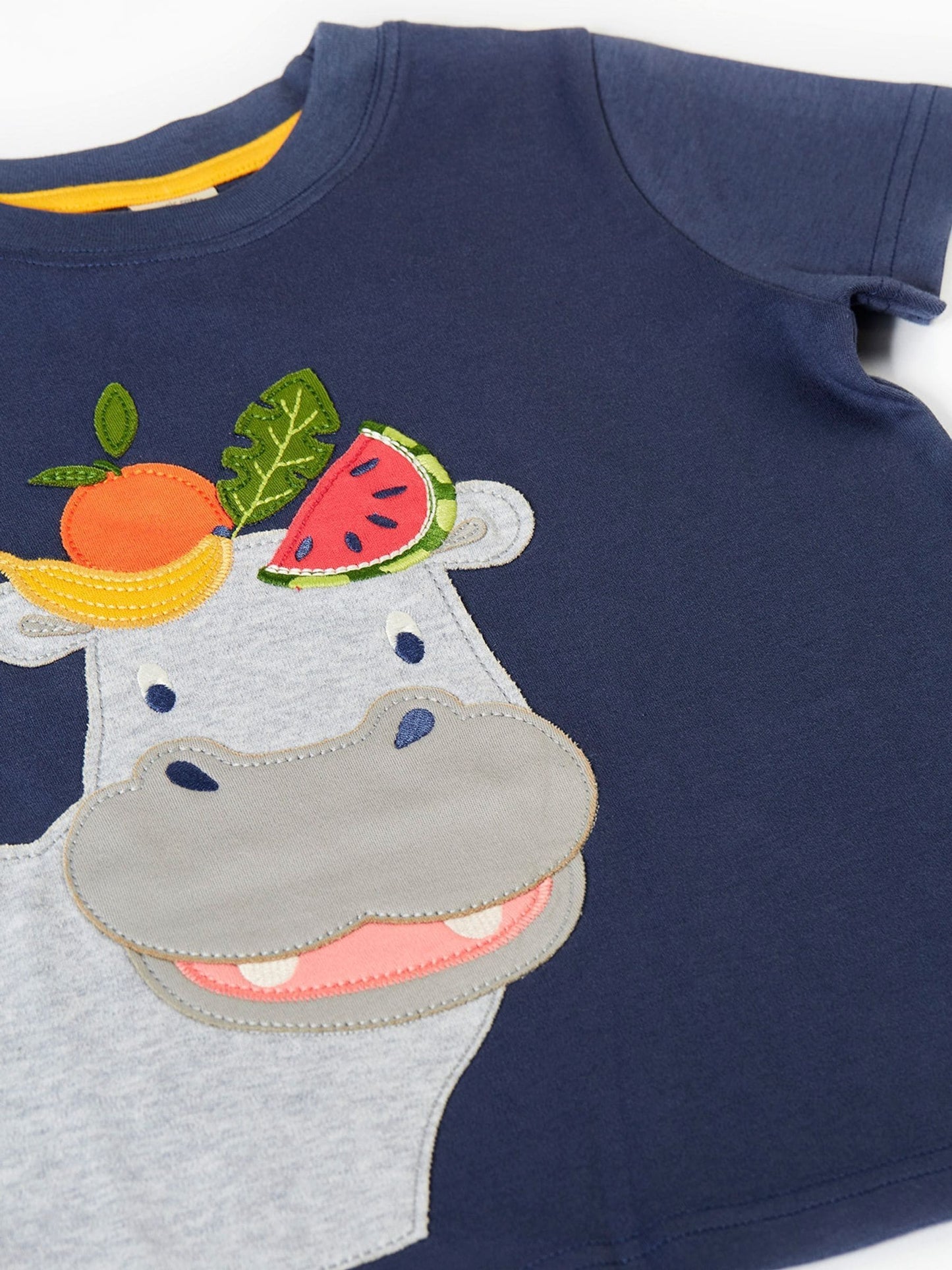 Frugi Blue Carsen Circular T-Shirt image 3