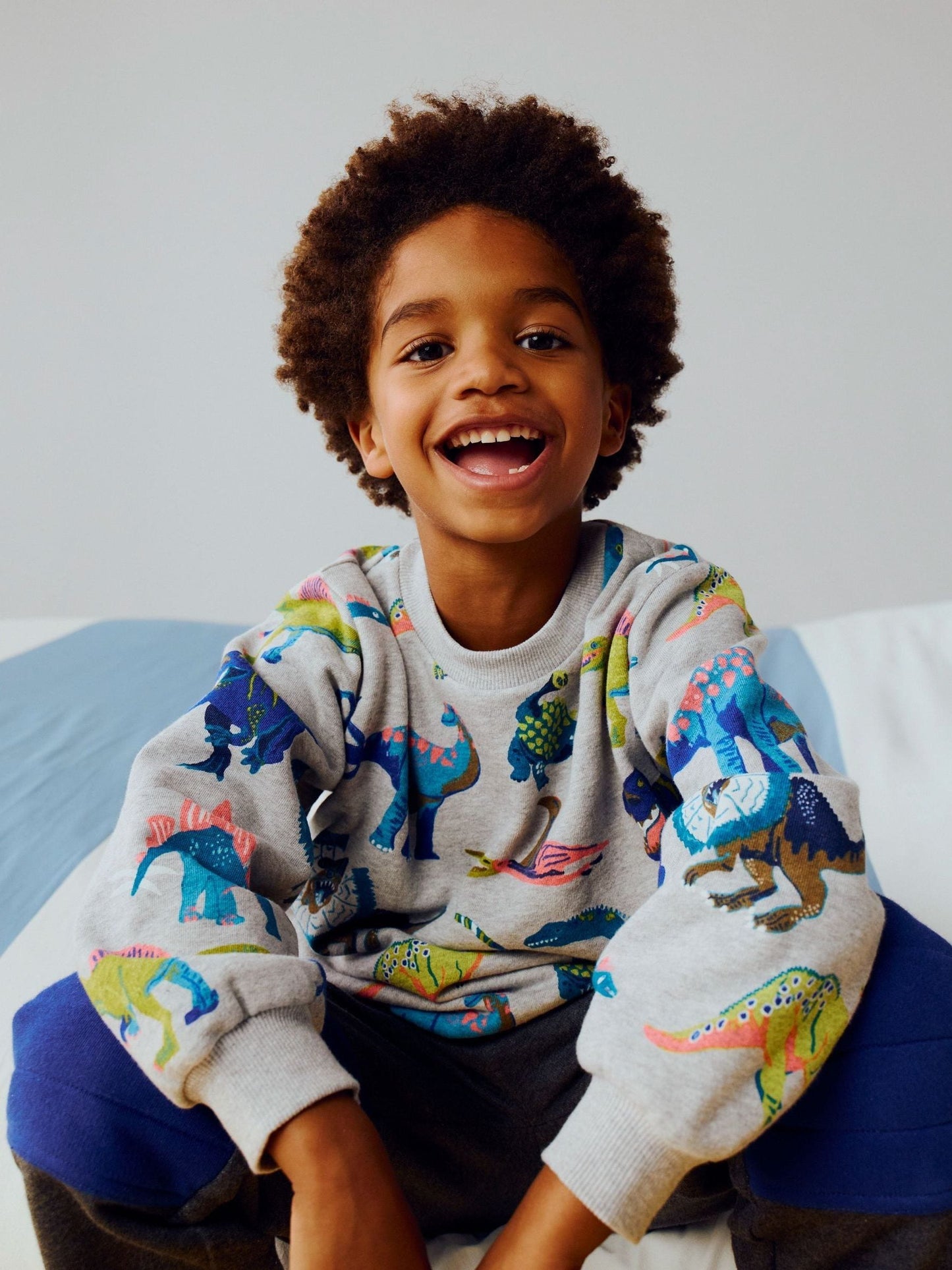 Dsiney Kidz - Boden Grey Dino Everyday Printed Sweatshirt image 1