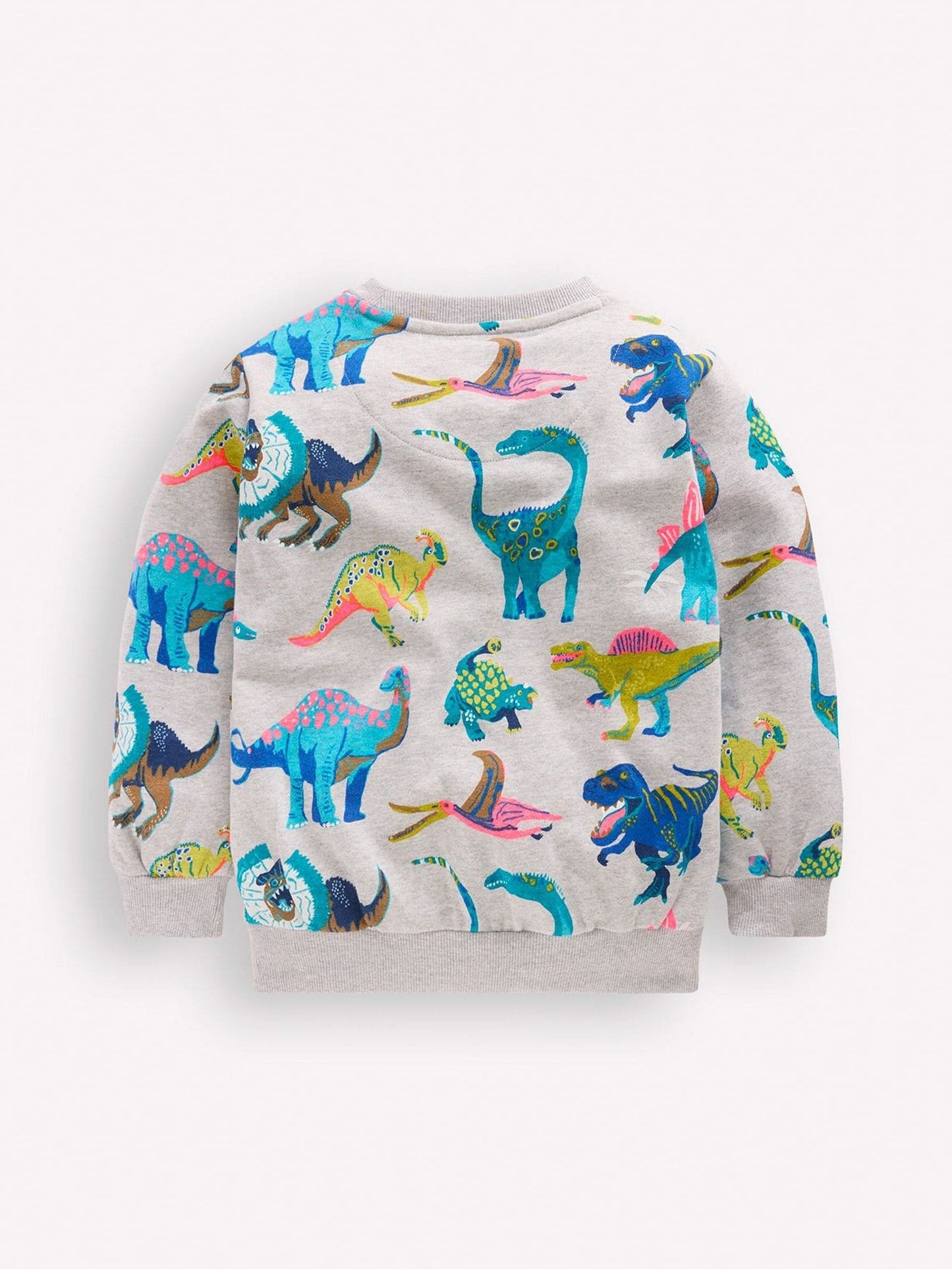 Dsiney Kidz - Boden Grey Dino Everyday Printed Sweatshirt image 3