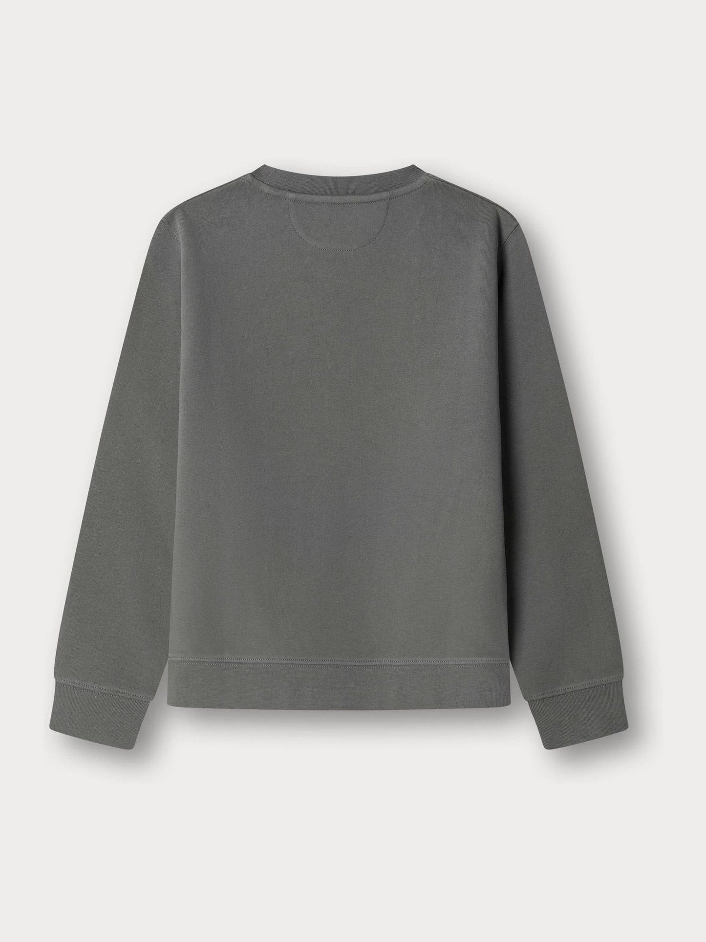 Dsiney Kidz - Hackett Green Logo Crew Neck Sweatshirt image 2