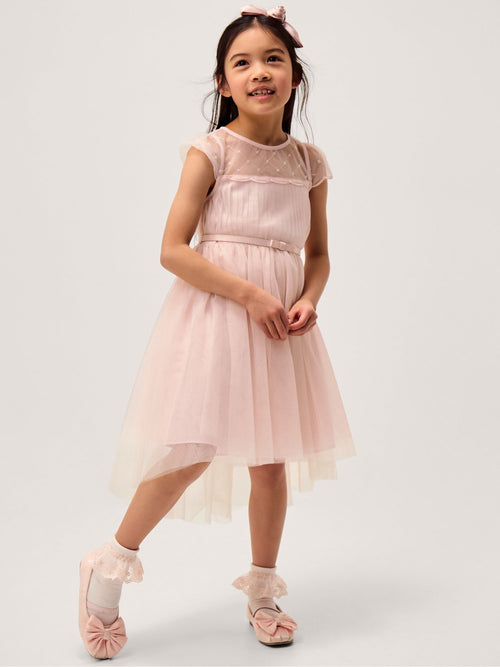 Monsoon Pale Pink Gracia Embroidered Yoke Tulle Dress image 1