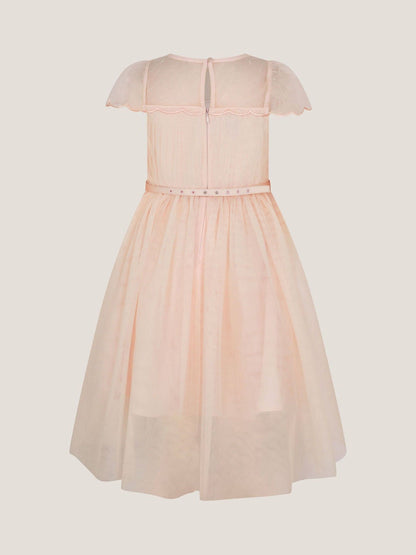 Monsoon Pale Pink Gracia Embroidered Yoke Tulle Dress image 3