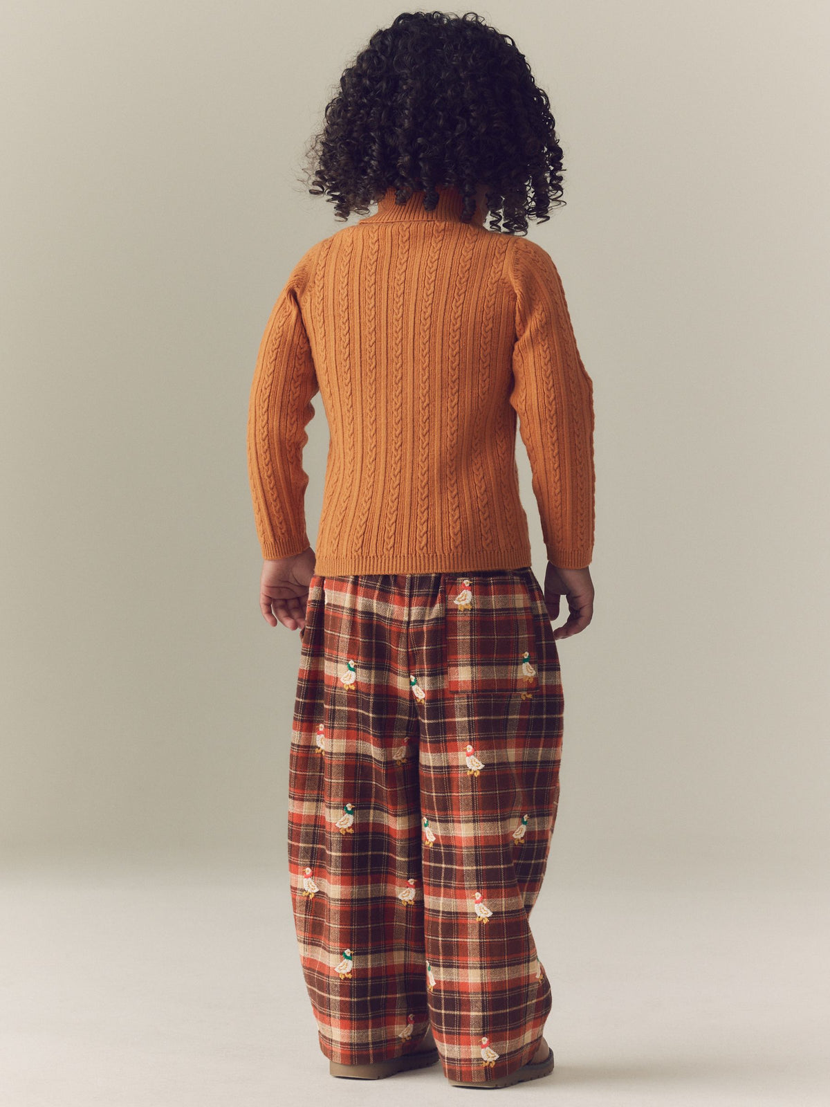 Brown Check Embroidered Pullon Trousers (3mths-7yrs) - image 4