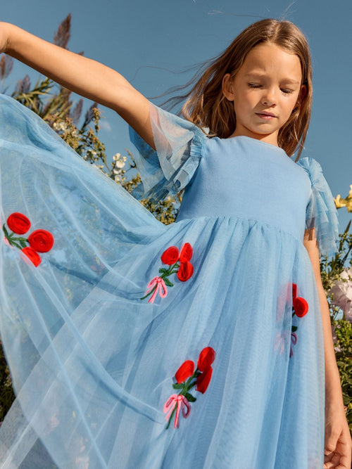 Boden Blue Short Sleeve Bouquet Tulle Dress image 1