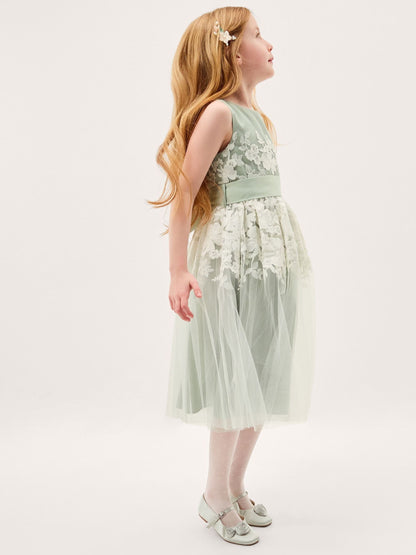 Monsoon Sage Green Felicity Floral Embroidered Mesh Dress image 1