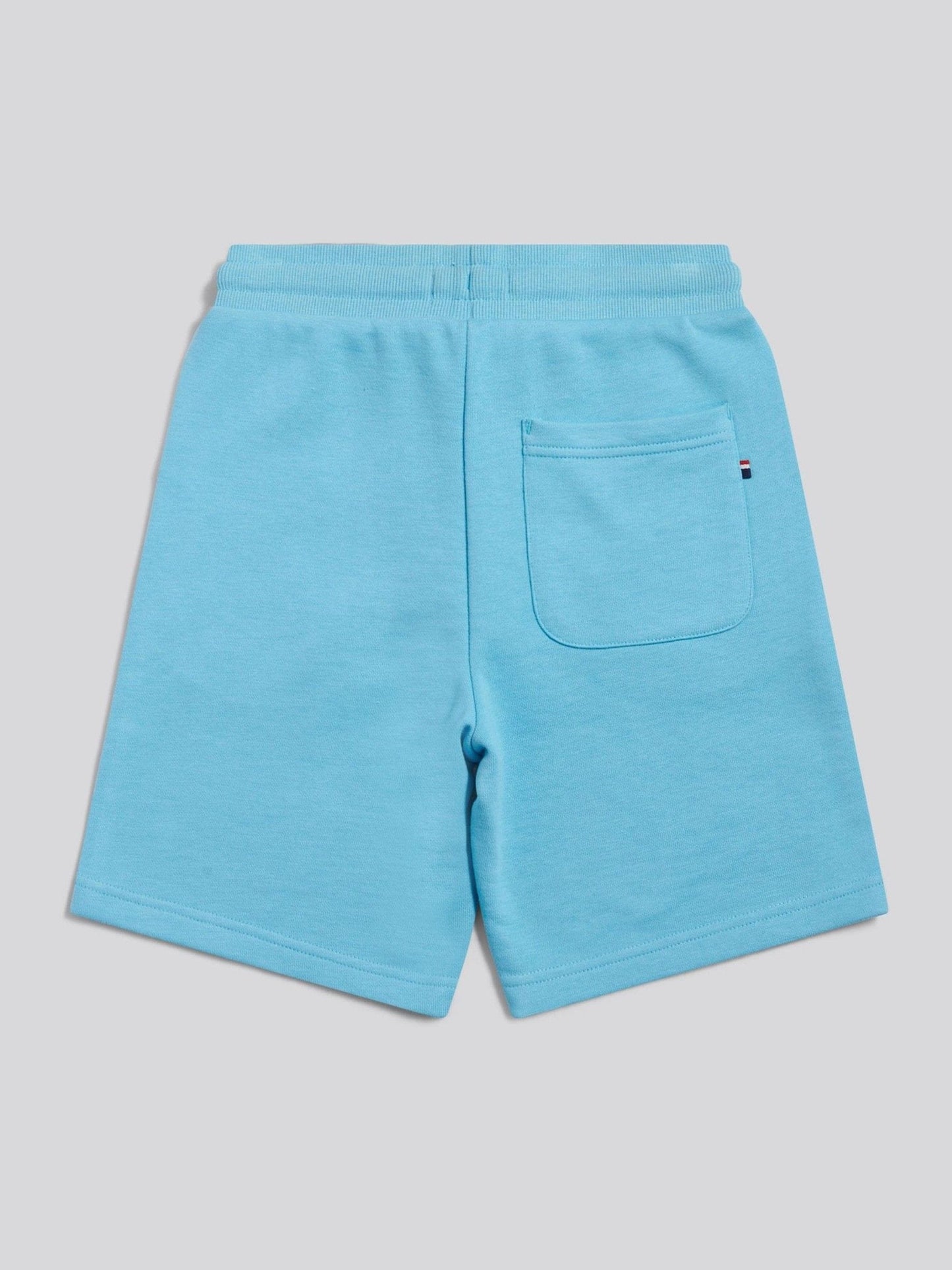 Dsiney Kidz - U.S. Polo Assn. Light Blue Double Horsemen Sweat Shorts image 2