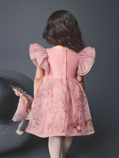 Blush Pink Floral Corsage Occasion Dress (3mths-8yrs) - image 3