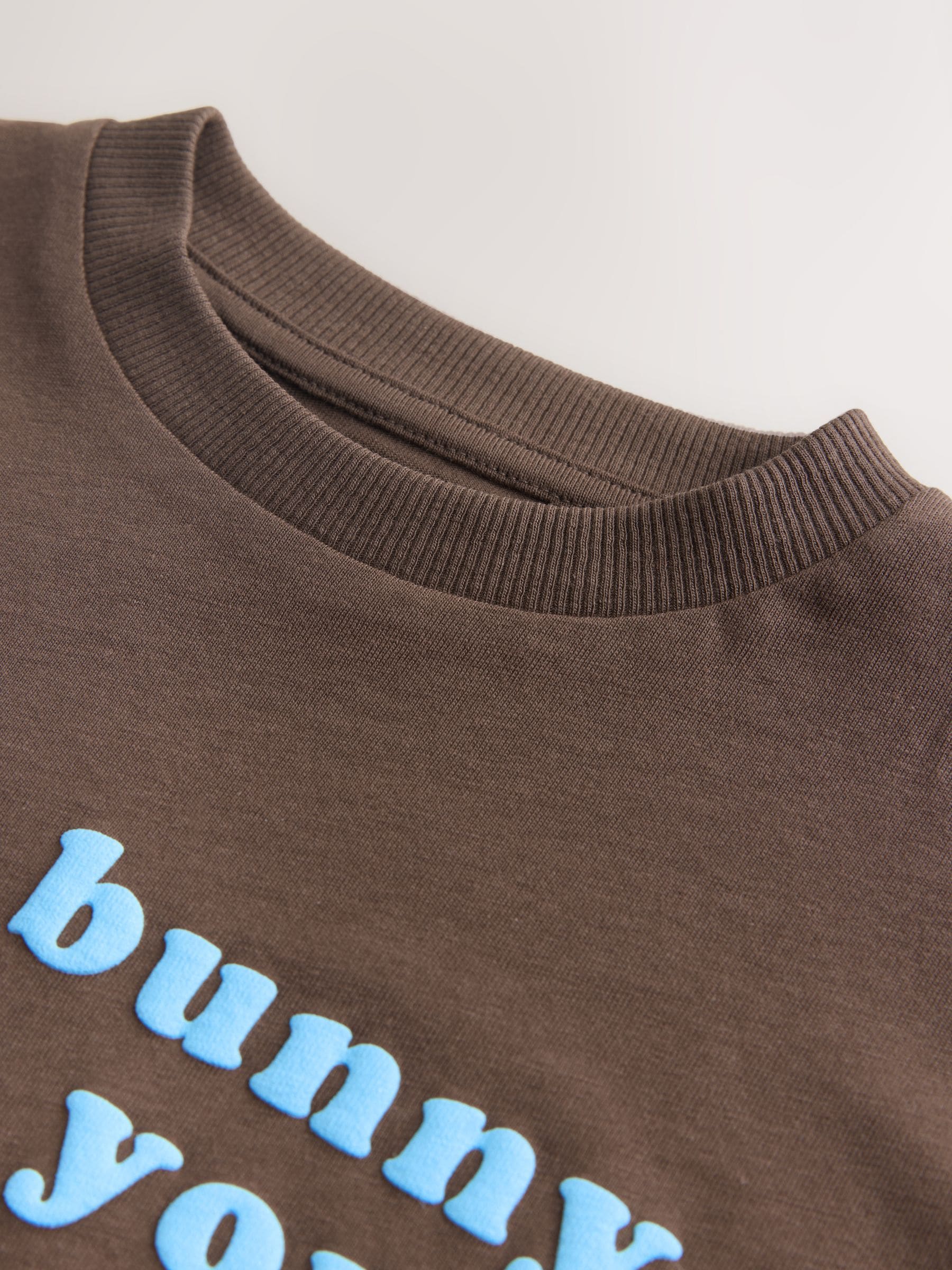 Brown Bunny Short Sleeve Easter Graphic T-Shirt (3mths-7yrs) image 4