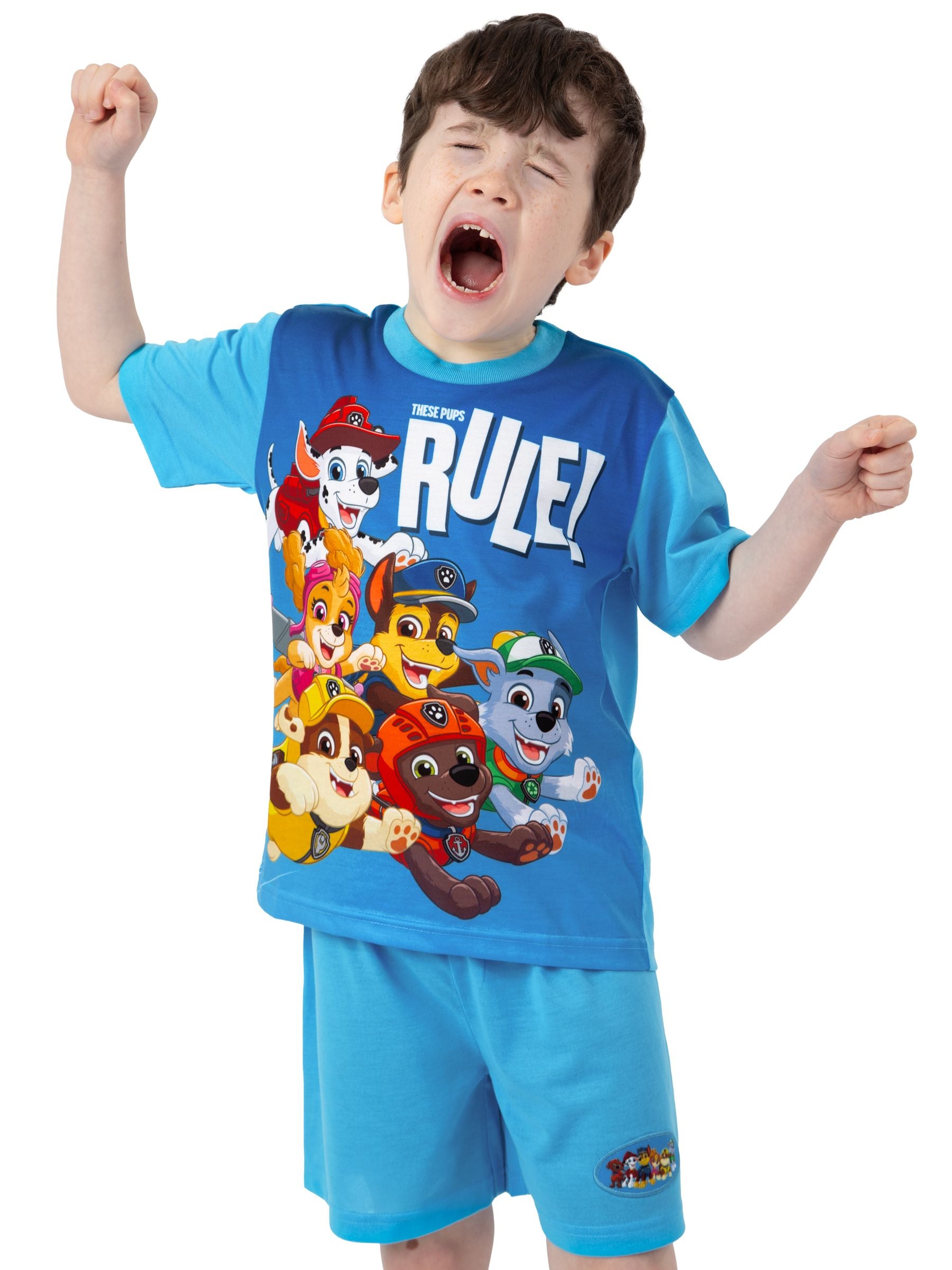 Dsiney Kidz - Character Blue PAW Patrol Short Sleeve Pyjamas image 4