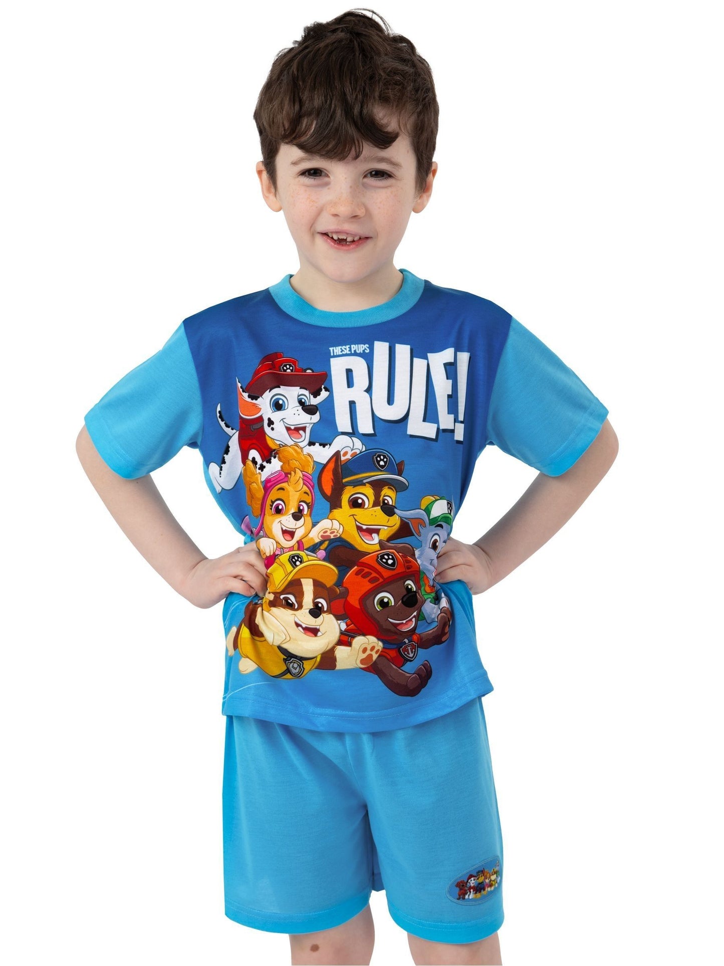 Dsiney Kidz - Character Blue PAW Patrol Short Sleeve Pyjamas image 5