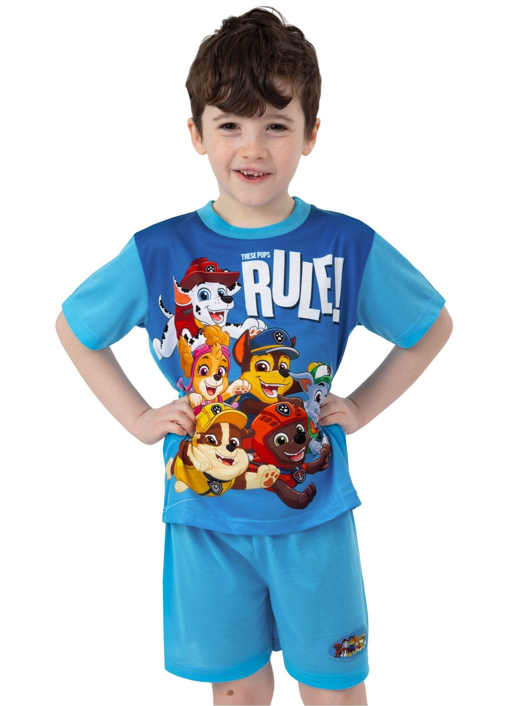 Dsiney Kidz - Character Blue PAW Patrol Short Sleeve Pyjamas image 5