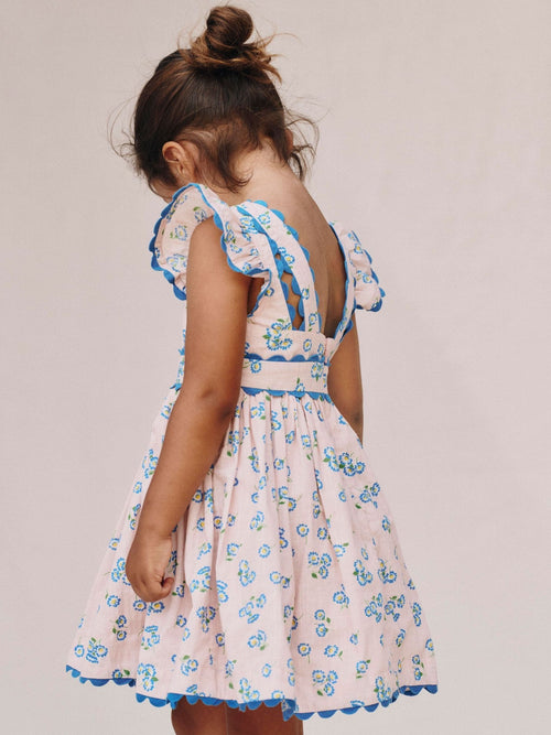 Boden Pink Ric Rac Trim Flutter Dress image 1
