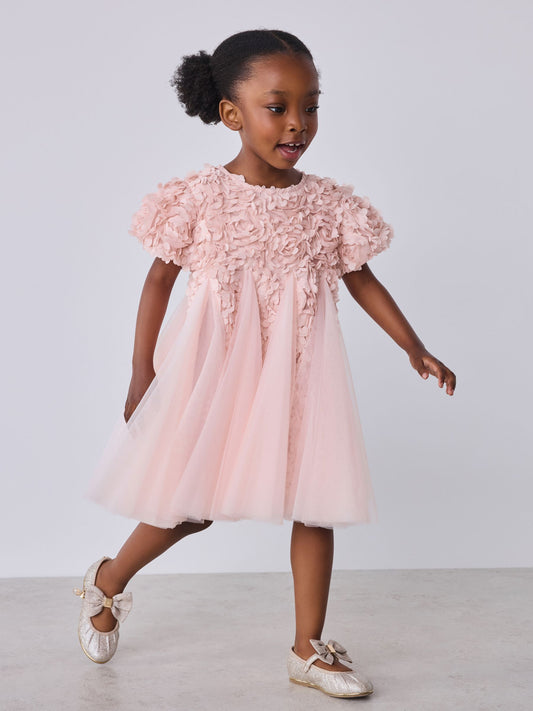 Dsiney Kidz - Baker by Ted Baker Pink 3D Textured Floral Mesh Godet Dress image 1