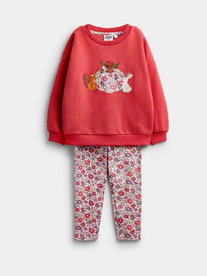 JoJo Maman Bébé Rust Orange Pumpkin Patch Friends Sweater & Leggings Set - image 1