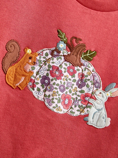 JoJo Maman Bébé Rust Orange Pumpkin Patch Friends Sweater & Leggings Set - image 6