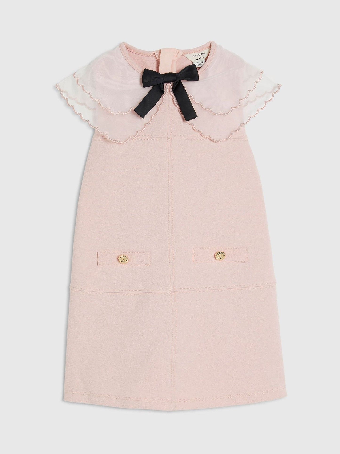 Dsiney Kidz - River Island Pink Organza Collar Scuba Dress image 1
