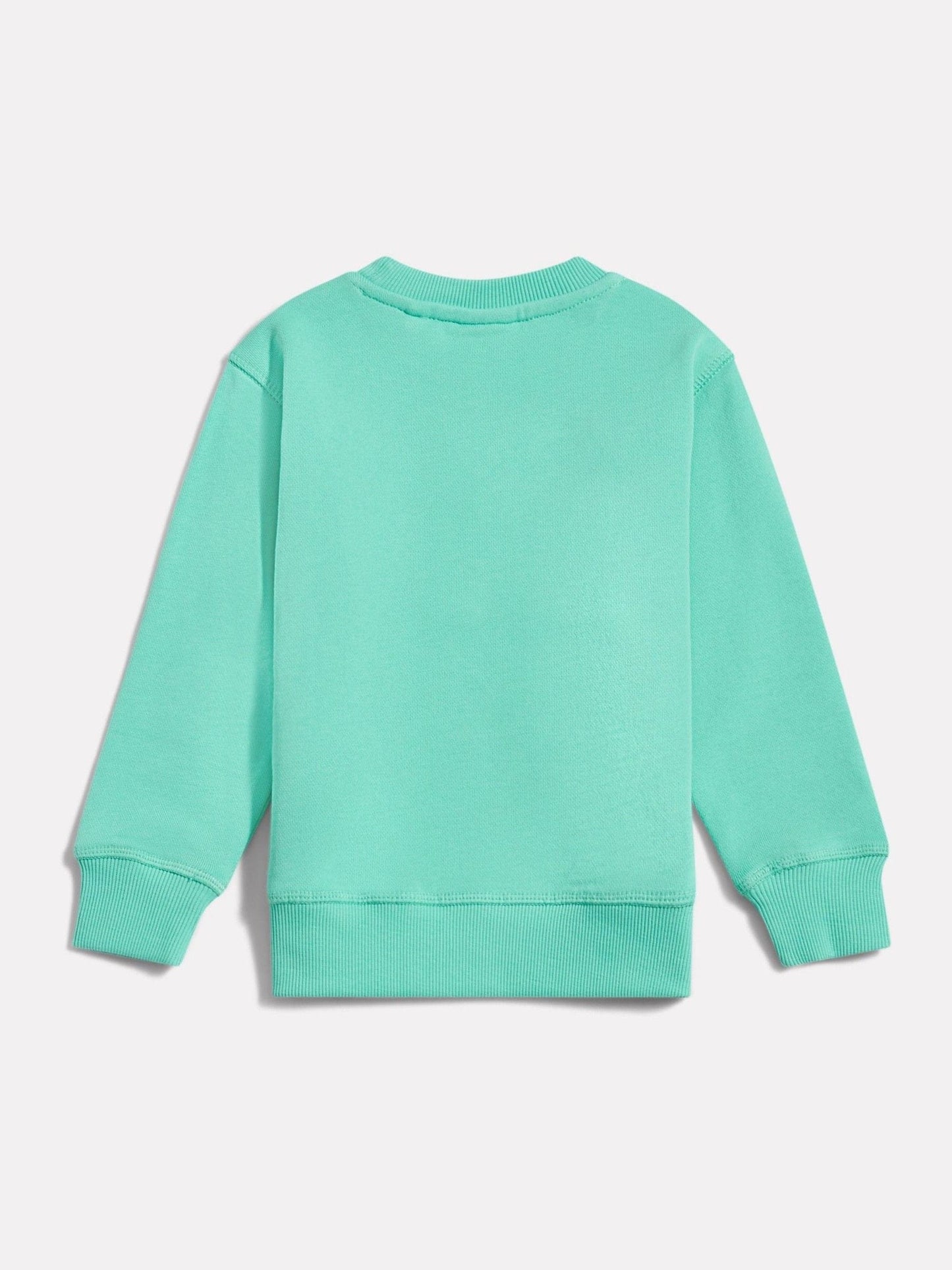 Dsiney Kidz - New Balance Green FT Small Logo Crew Neck Sweat Top image 2