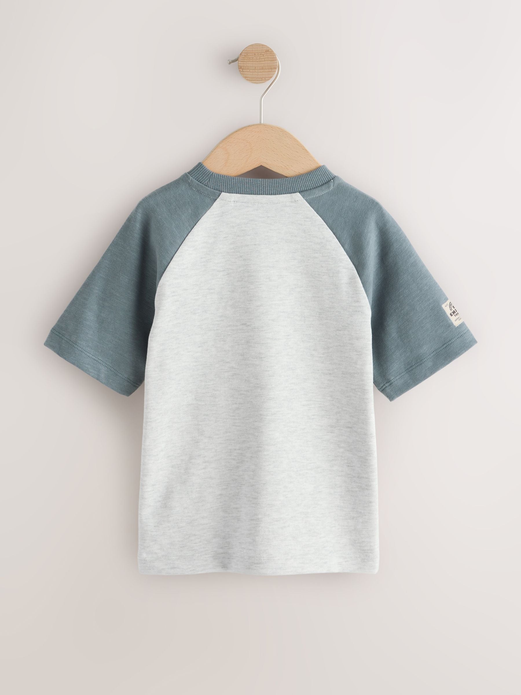 Grey Long Sleeve Raglan T-Shirts 3 Pack (3mths-7yrs) image 5