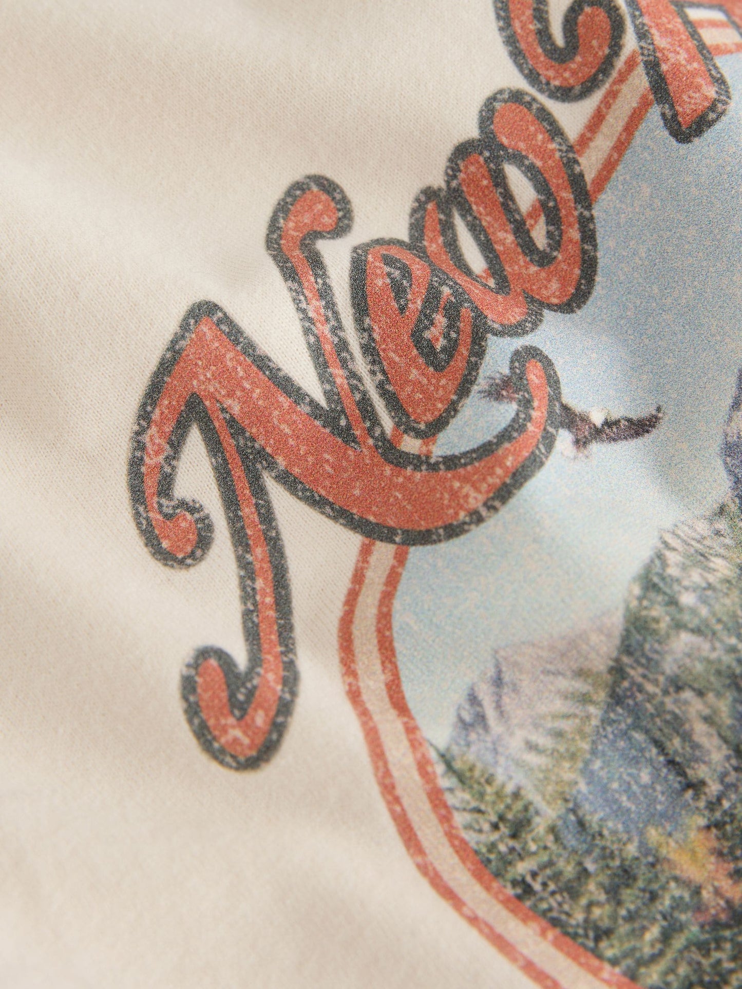 Dsiney Kidz - Ecru Alpine Fitted Graphic T-Shirt (3-16yrs) image 8