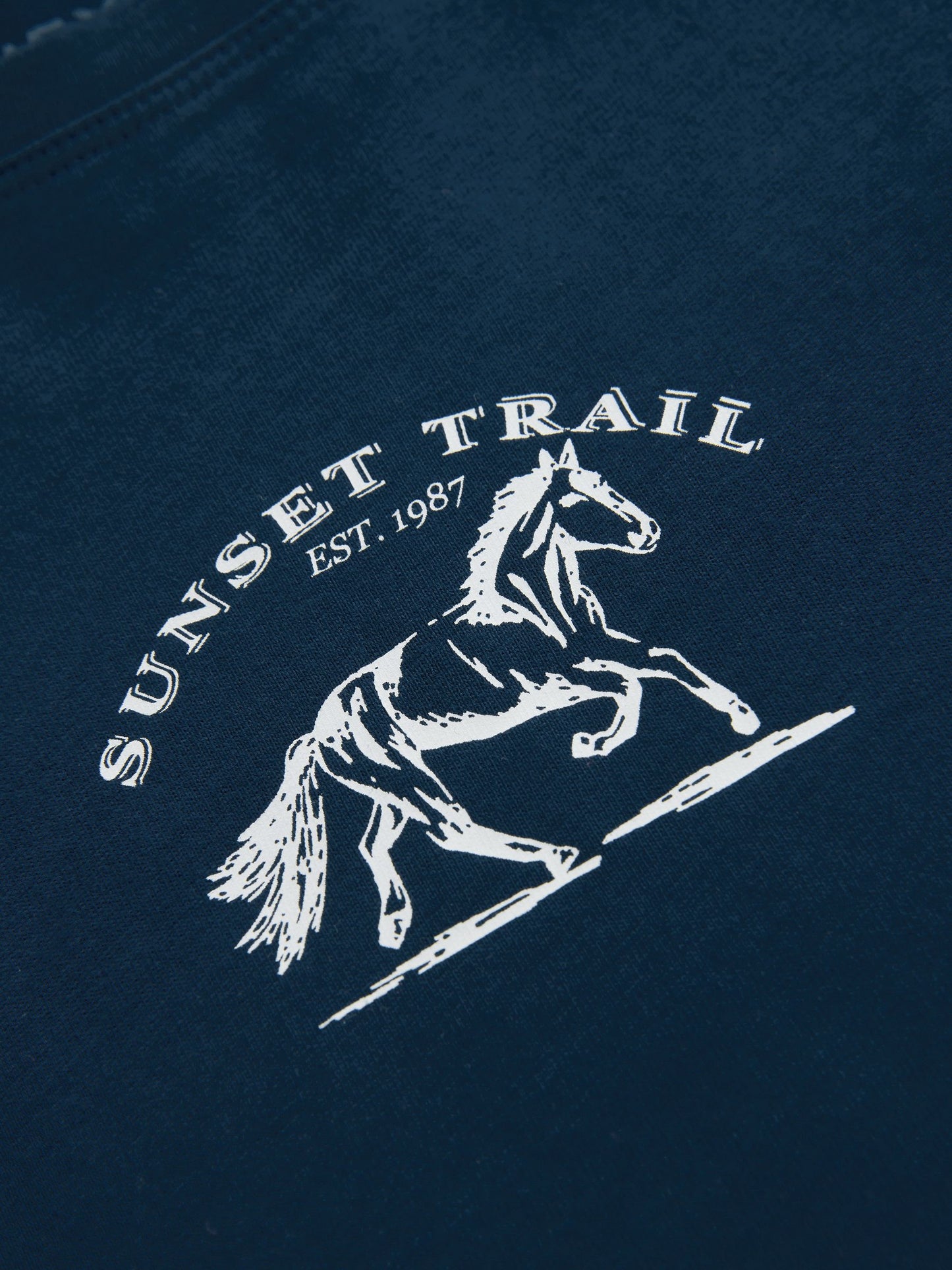 Dsiney Kidz - Navy Horse Fitted Graphic T-Shirt (3-16yrs) image 7