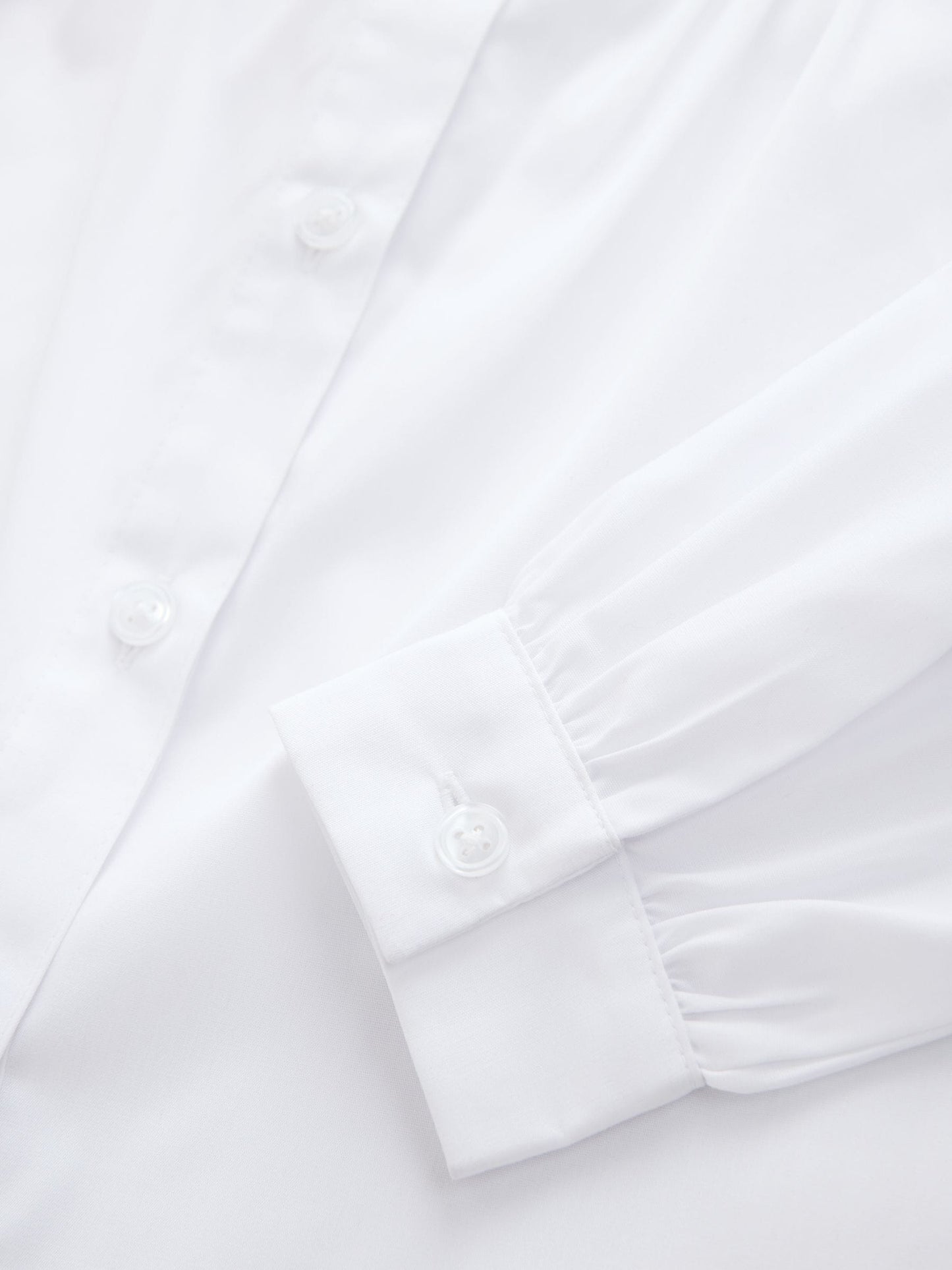 Dsiney Kidz - White Girls Long Sleeve Ruffle Collar School Shirts 2 Pack (3-14yrs) image 6