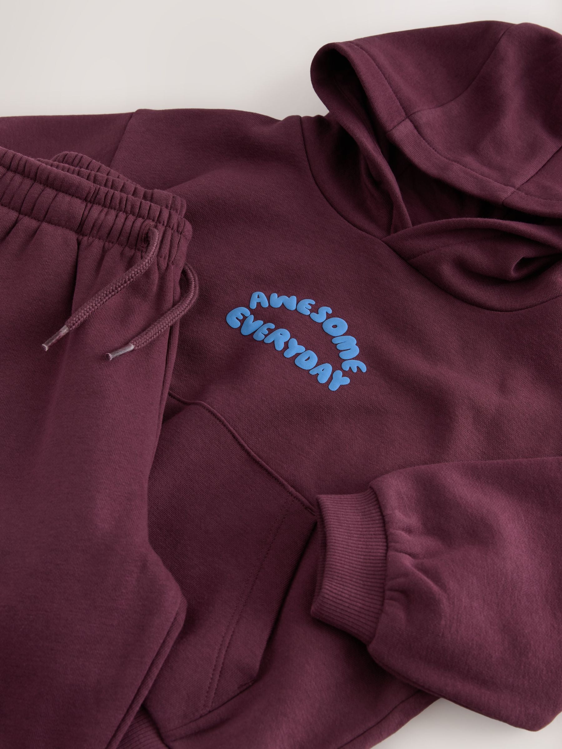 Dsiney Kidz - Burgundy Red Back Print Hoodie and Joggers Set (3mths-7yrs) image 4