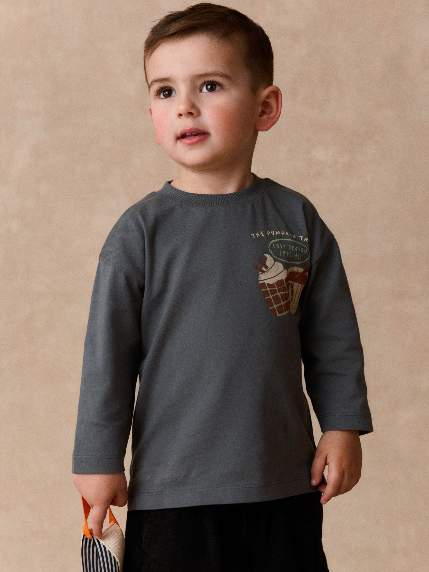 Dsiney Kidz - Charcoal Grey Autumn Pumpkin Truck Long Sleeve Back Graphic T-Shirt (3mths-10yrs) image 2