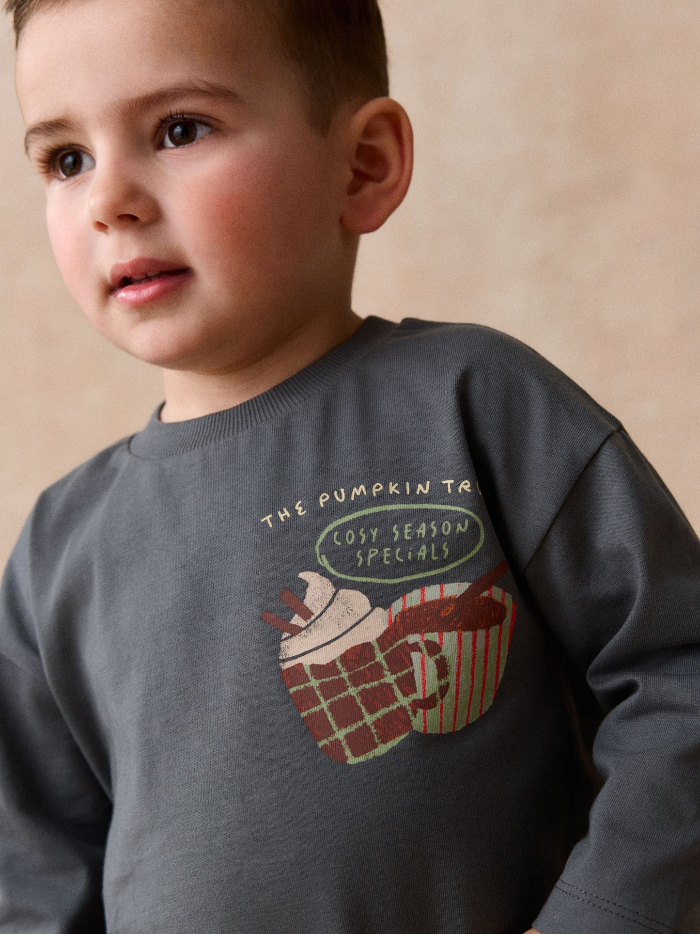Dsiney Kidz - Charcoal Grey Autumn Pumpkin Truck Long Sleeve Back Graphic T-Shirt (3mths-10yrs) image 4