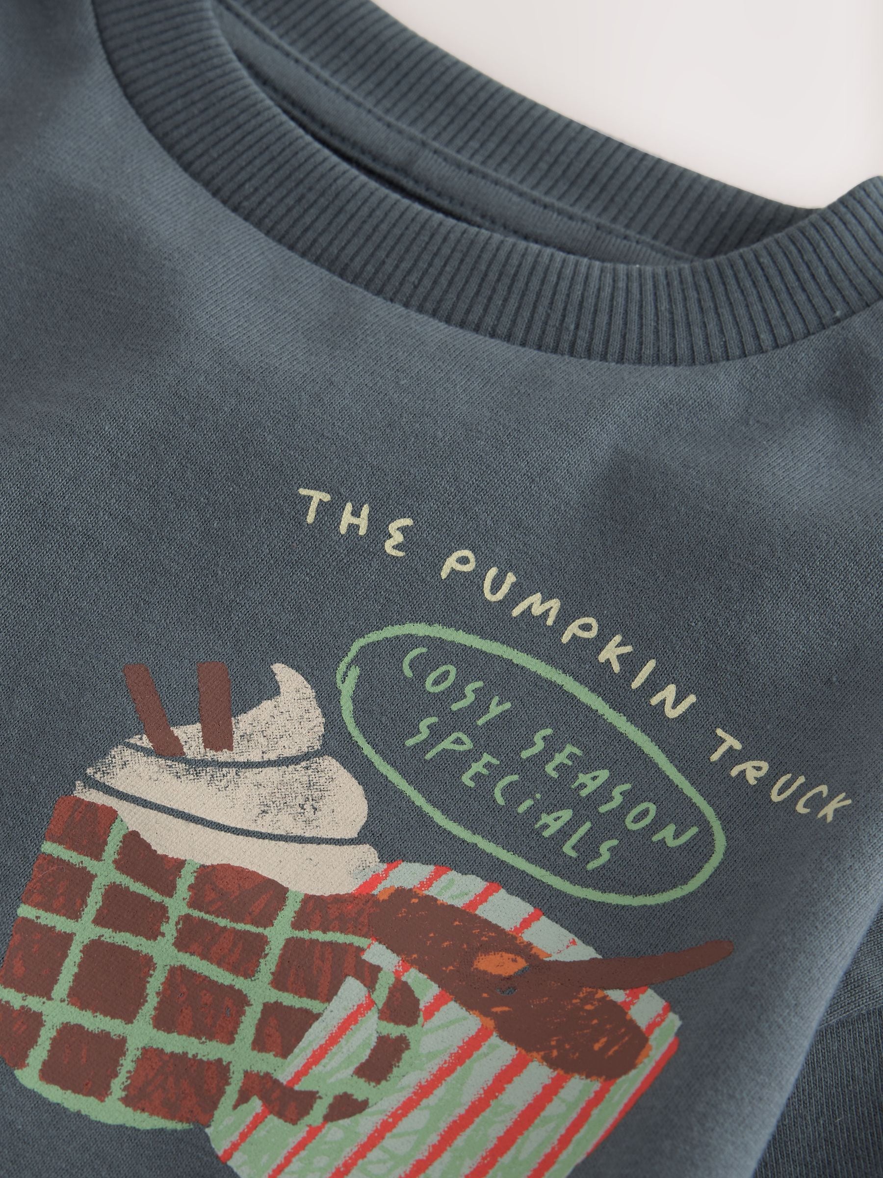 Dsiney Kidz - Charcoal Grey Autumn Pumpkin Truck Long Sleeve Back Graphic T-Shirt (3mths-10yrs) image 7