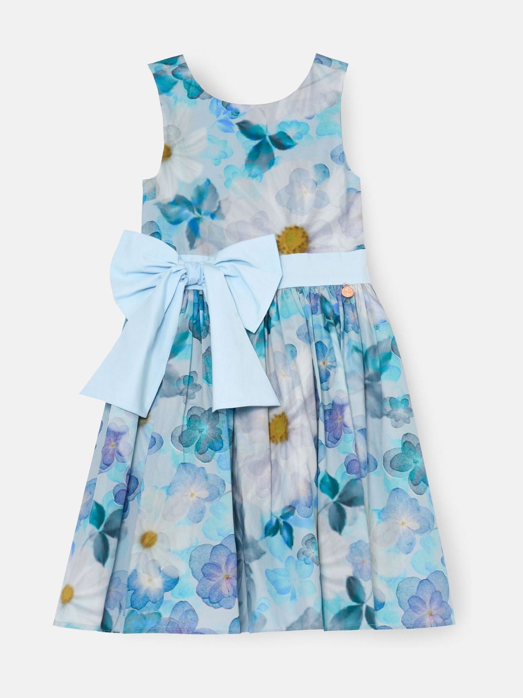 Angel & Rocket Blue Elisa Print Bow Waist Dress image 5