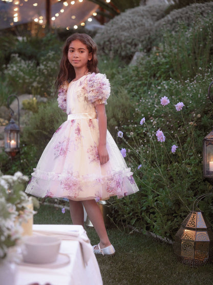 Angel & Rocket Pink Florence Blush Ruffle Sleeve Mesh Dress image 2