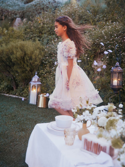 Angel & Rocket Pink Florence Blush Ruffle Sleeve Mesh Dress image 3