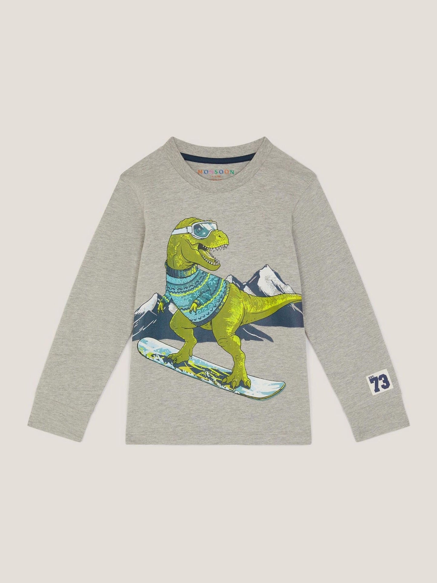 Dsiney Kidz - Monsoon Grey Snowboard Dinosaur Long Sleeve Top image 1