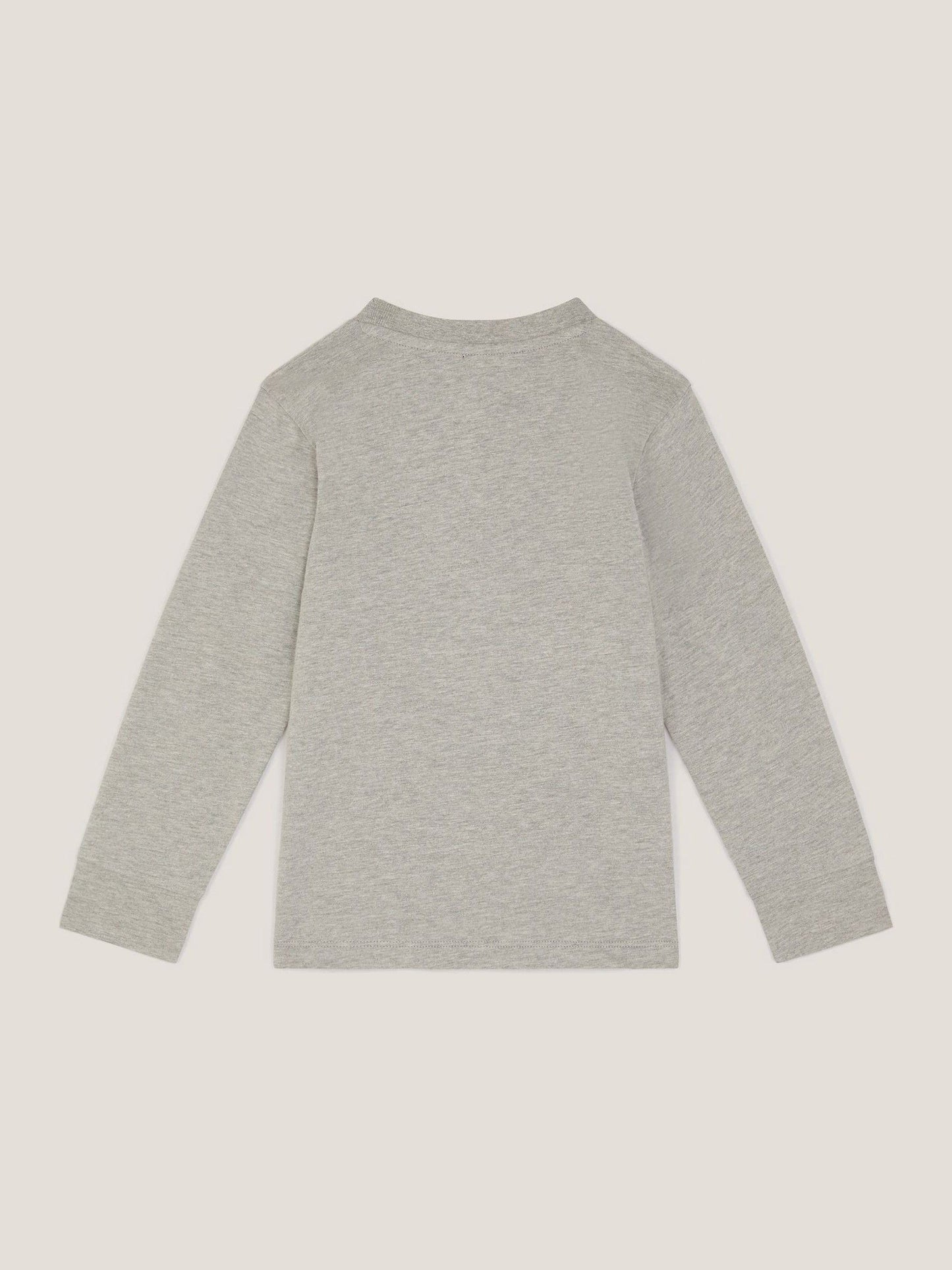 Dsiney Kidz - Monsoon Grey Snowboard Dinosaur Long Sleeve Top image 2