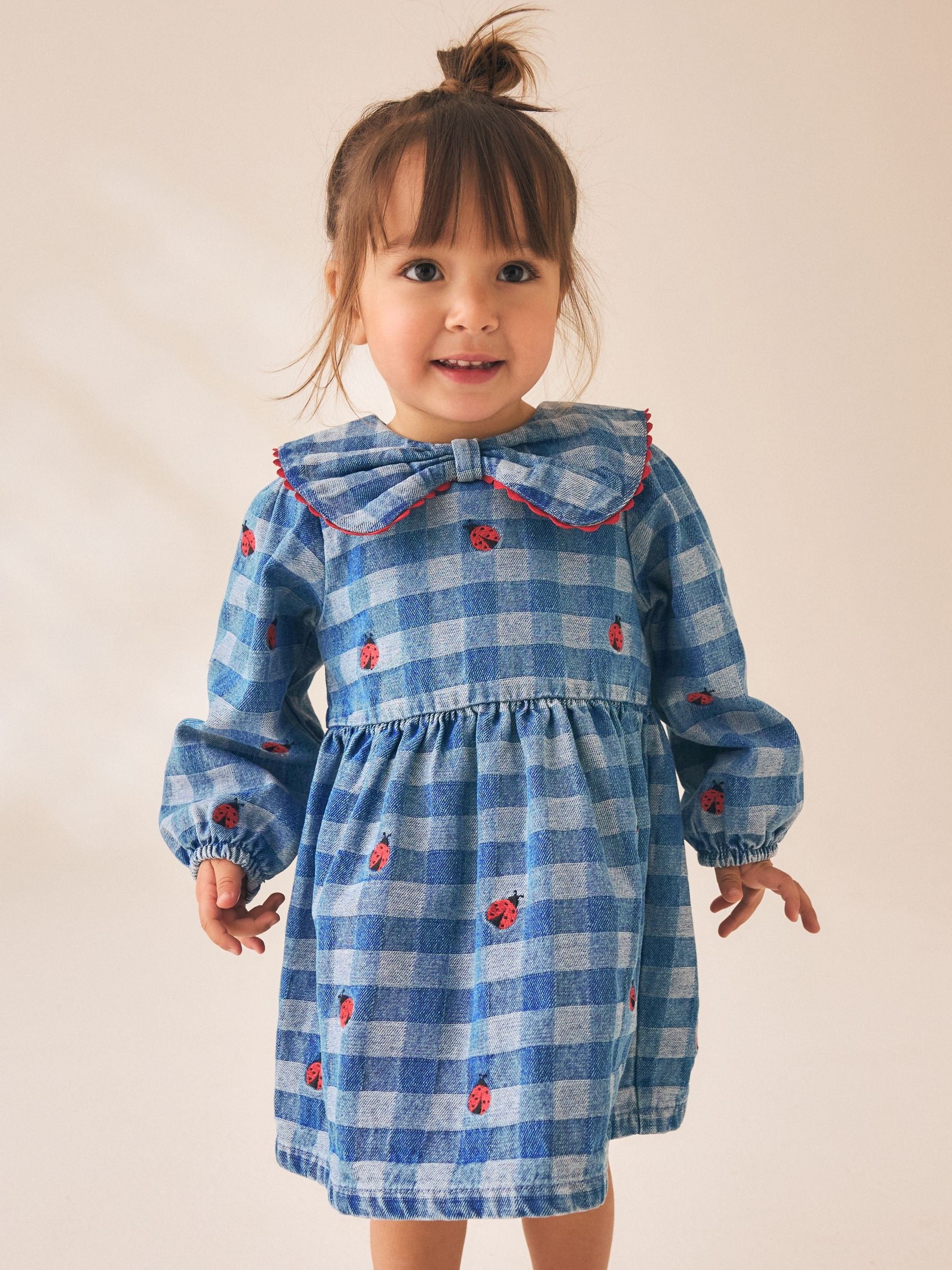 Dsiney Kidz - Blue Denim Check Long Sleeve Collar Embroidered Ladybird Dress (3mths-8yrs) image 1