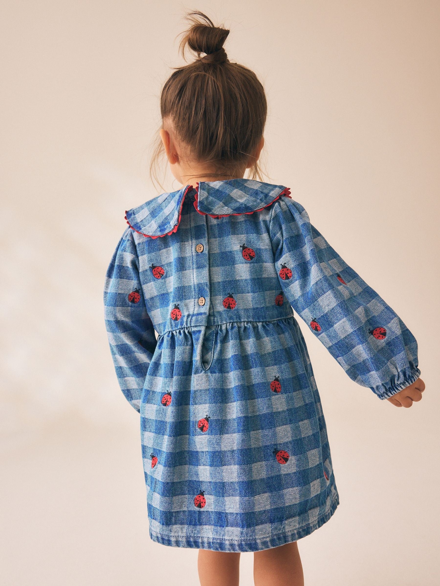 Dsiney Kidz - Blue Denim Check Long Sleeve Collar Embroidered Ladybird Dress (3mths-8yrs) image 3