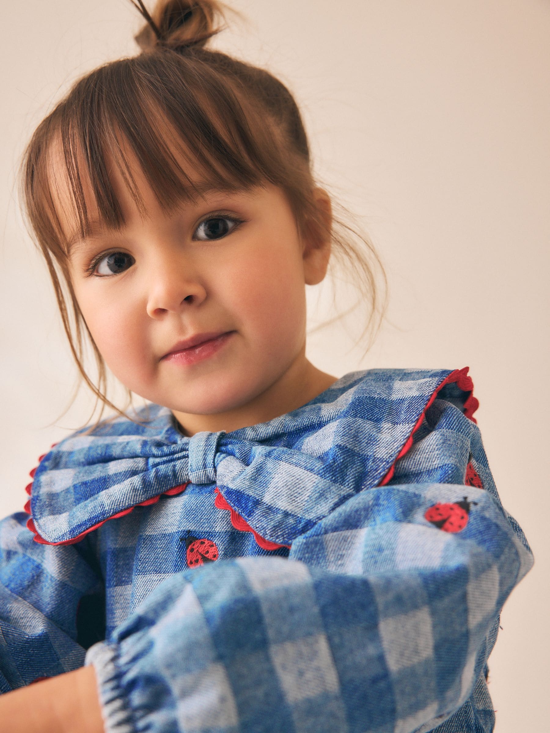 Dsiney Kidz - Blue Denim Check Long Sleeve Collar Embroidered Ladybird Dress (3mths-8yrs) image 4