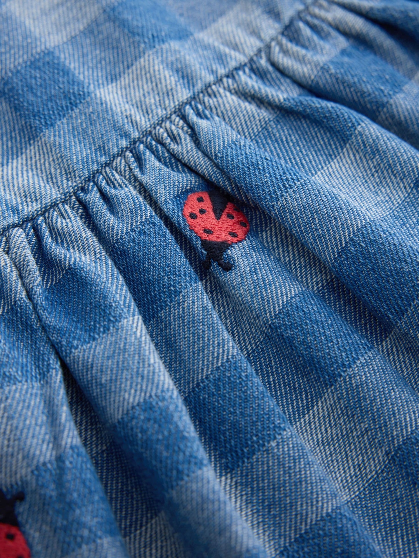 Dsiney Kidz - Blue Denim Check Long Sleeve Collar Embroidered Ladybird Dress (3mths-8yrs) image 7