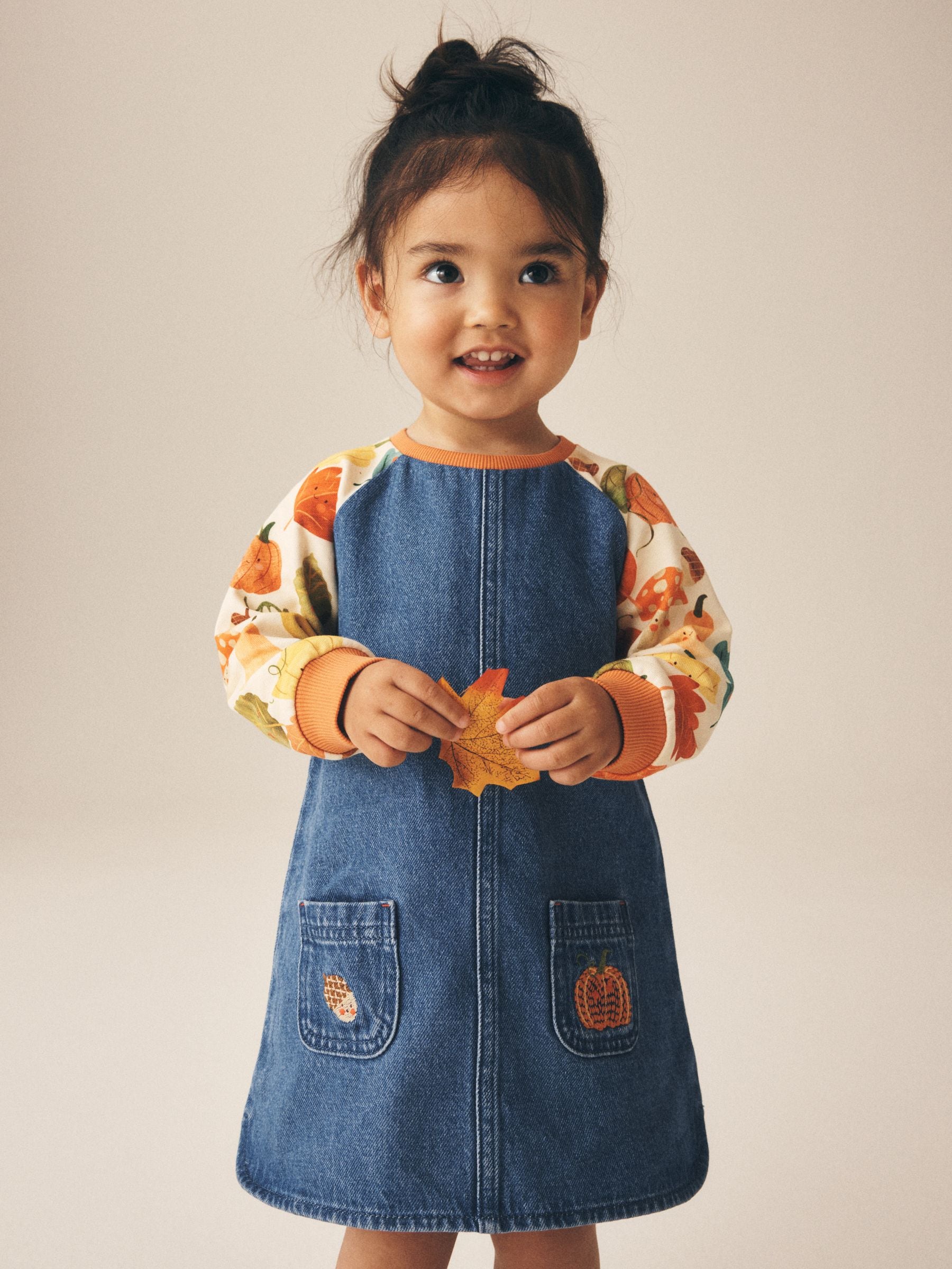 Dsiney Kidz - Pumpkin Print Raglan Denim Dress (3mths-8yrs) image 1
