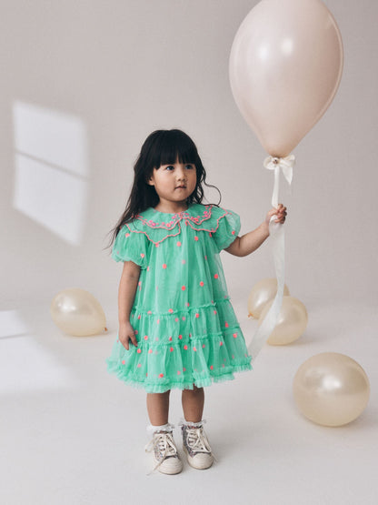 Dsiney Kidz - Teal Blue Mesh Embroidered Occasion Dress (3mths-8yrs) image 2