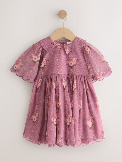 Purple Floral Lace Collar Short Sleeve Occasion Dress (3mths-8yrs) image 5