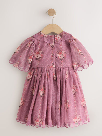 Purple Floral Lace Collar Short Sleeve Occasion Dress (3mths-8yrs) image 6