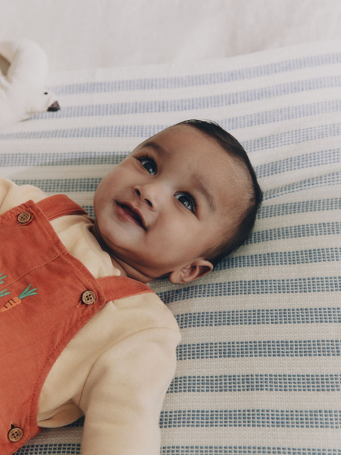 Rust Brown Farmyard Cord Dungarees and Bodysuit Baby Set (0mths-3yrs) image 4