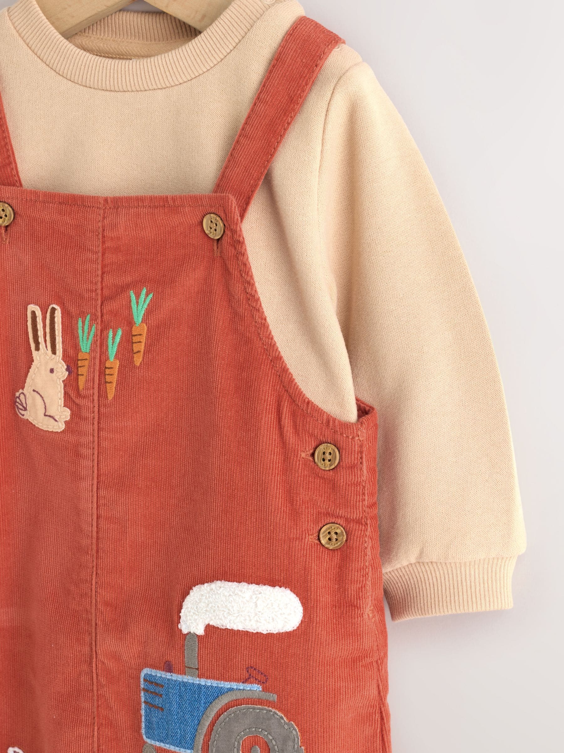Rust Brown Farmyard Cord Dungarees and Bodysuit Baby Set (0mths-3yrs) image 8