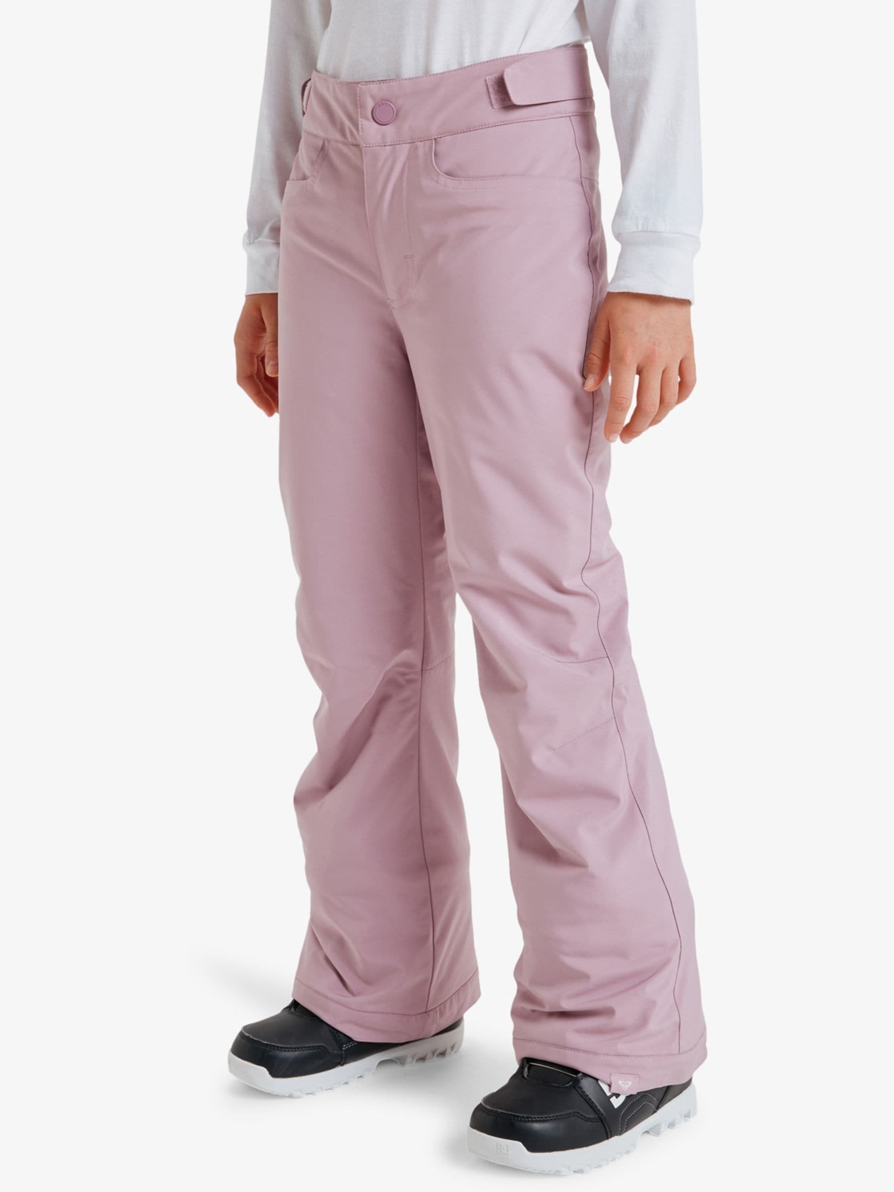 Roxy Lilac Backyard Technical Ski Trousers image 4